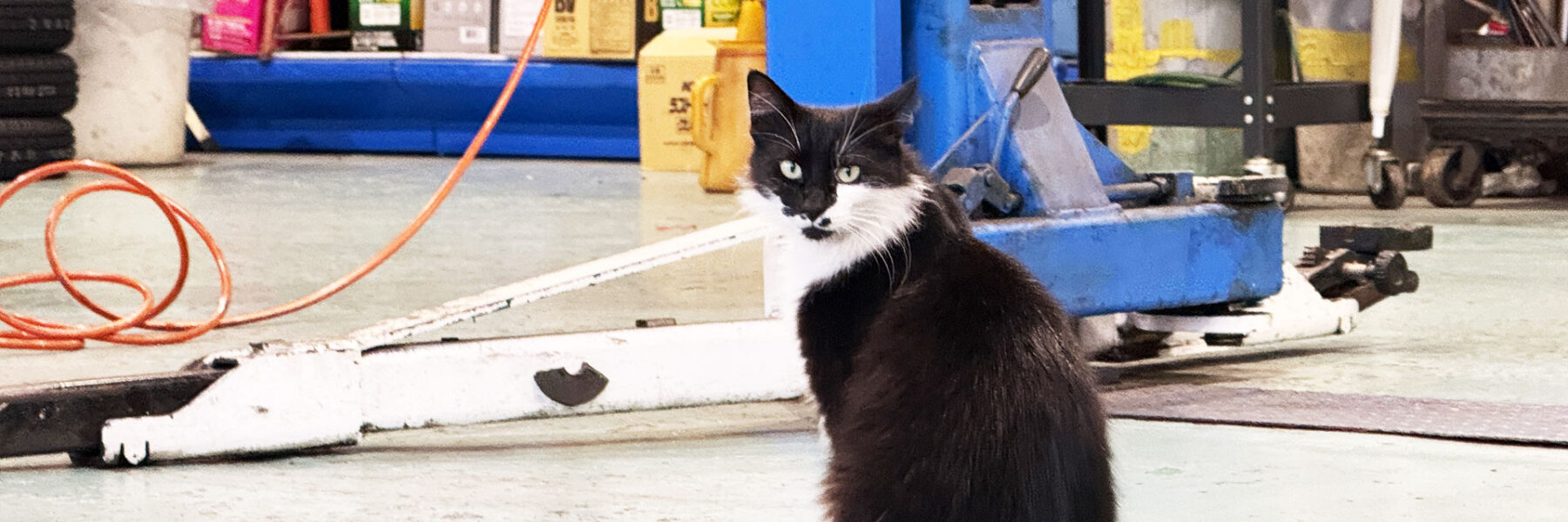 本店サービス工場